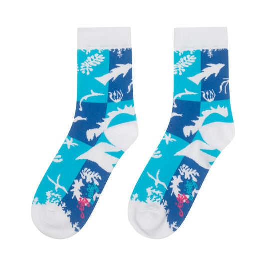 Art Socks (SOCK21)